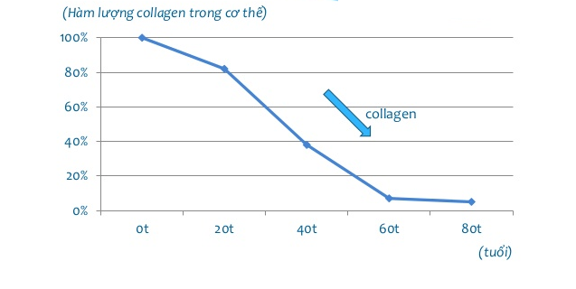 Collagen thủy phân Puritan's pride hydrolyzed collagen 1000mg 2