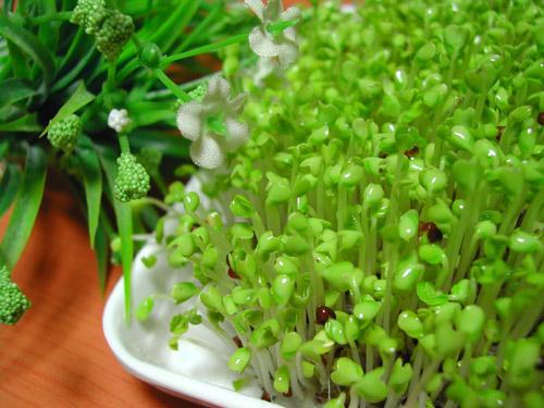 Bảo Xuân - Viên Uống Hỗ Trợ Cân Bằng Nội Tiết Tố Nữ