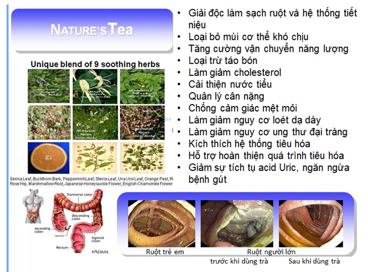 Công dụng của Trà thải độc ruột Nature's Tea 