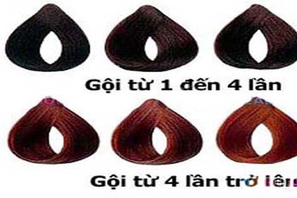 Dầu Gội Nhuộm Tóc Solbol Có Tốt Không?
