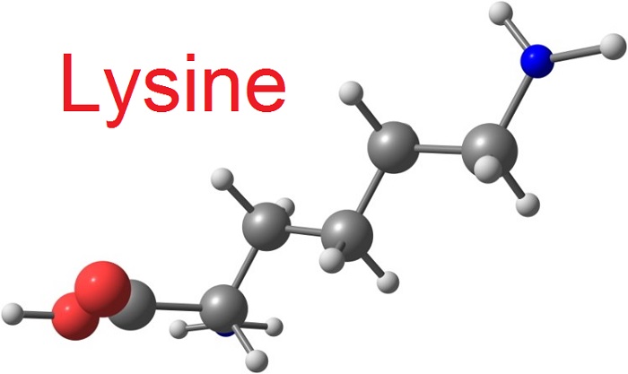 Bột Lysine Úc Cho Trẻ Uống Có Tốt Không, Giá Bao Nhiêu, Mua Hàng Ở Đâu Chính Hãng?