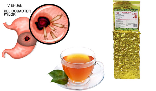 Trà Dây Lava Là Loại Trà Gì? Công Dụng, Mua Ở Đâu, Giá Bao Nhiêu?