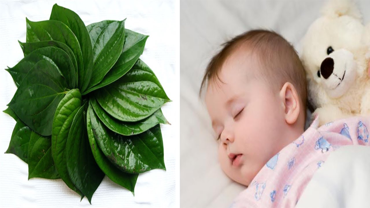Hăm Ở Trẻ Là Gì? Những Biện Pháp Trị Hăm Hiệu Quả Nhất?