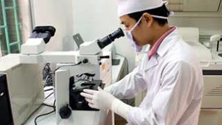 Gai Đen Là Bệnh Gì? Nguyên Nhân, Biểu Hiện, Điều Trị Hiệu Quả?