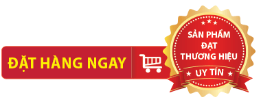 Có Nên Dùng Nước Xịt Phòng Diệt Khuẩn Lysol Không? Nên Mua Hàng Ở Đâu?