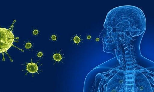Có Nên Dùng Nước Xịt Phòng Diệt Khuẩn Lysol Không? Nên Mua Hàng Ở Đâu?