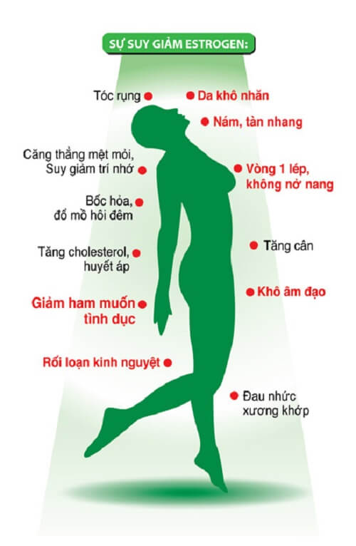 Bật Mí Lý Do Soy Isoflavones Trở Thành ‘bùa Yêu’ Số 1 Của Phái Đẹp