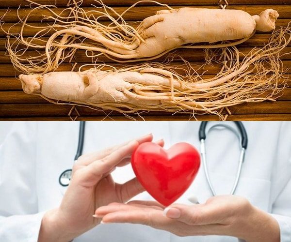 Homtamin Ginseng Là Thuốc Gì? Thành Phần, Công Dụng, Liều Dùng?