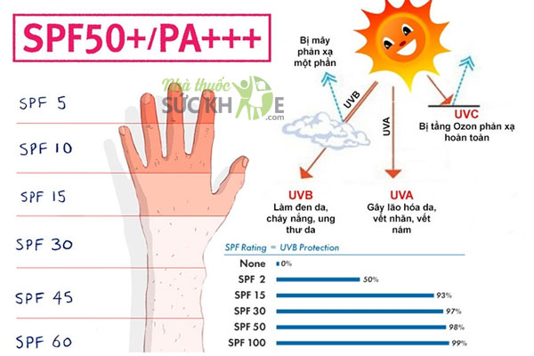 Mức độ bảo vệ da dựa theo chỉ số SPF và PA