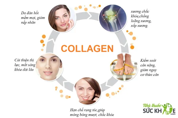 Collagen tốt cho sức khỏe và sắc đẹp