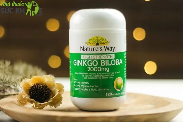 Thuốc bổ não Ginkgo Biloba Nature’s Way