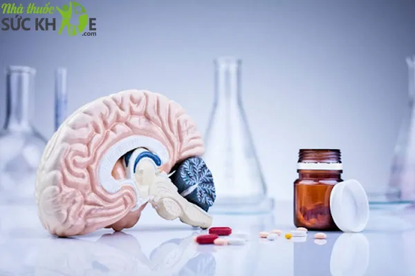 Thuốc bổ não của Úc cải thiện khả năng tuần hoàn máu não