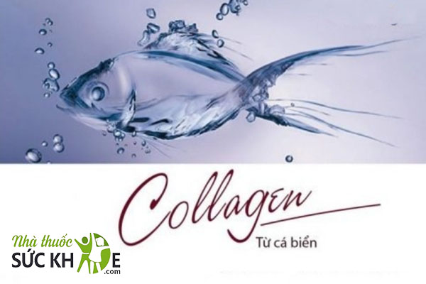 Collagen chiết xuất từ cá chứa thành phần an toàn, đã được kiểm định