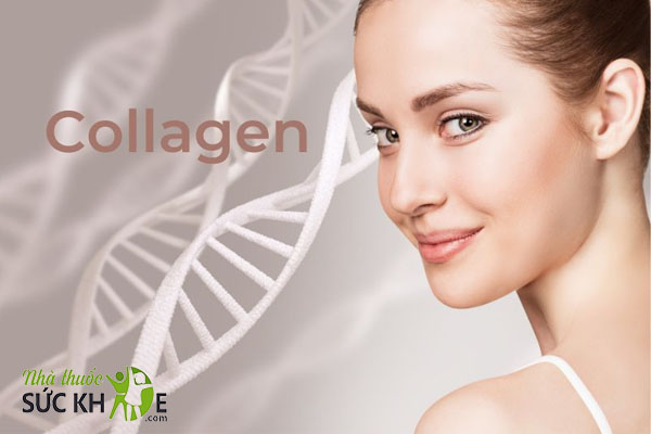 Collagen là thần dược níu giữ tuổi thanh xuân cho làn da